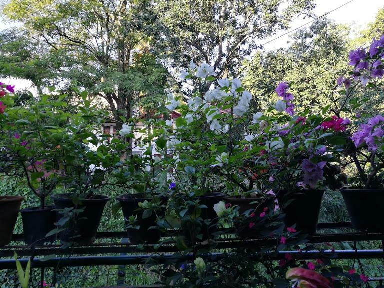 Kandy Inn Madugalle'S Family Guest House 外观 照片