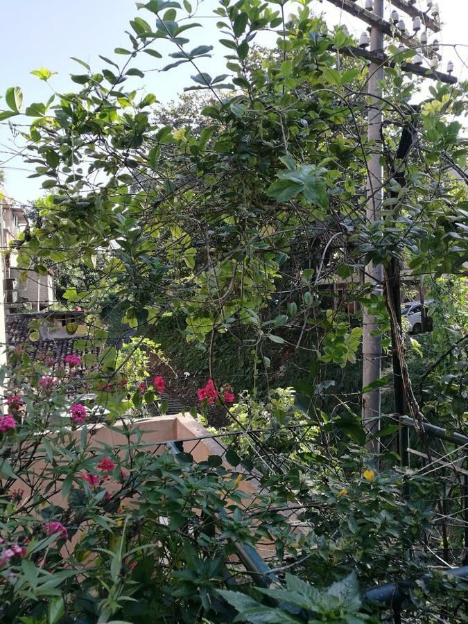 Kandy Inn Madugalle'S Family Guest House 外观 照片